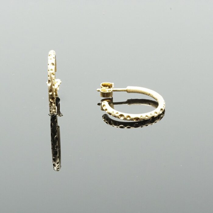 Cosmos-øreringe-forgyldt-925 sølv-2025-1