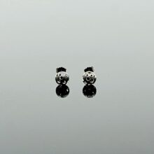 Cosmos-ørestik-6mm-sort-925 sølv-2025-1